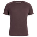 Senti Men's Merino T-shirt